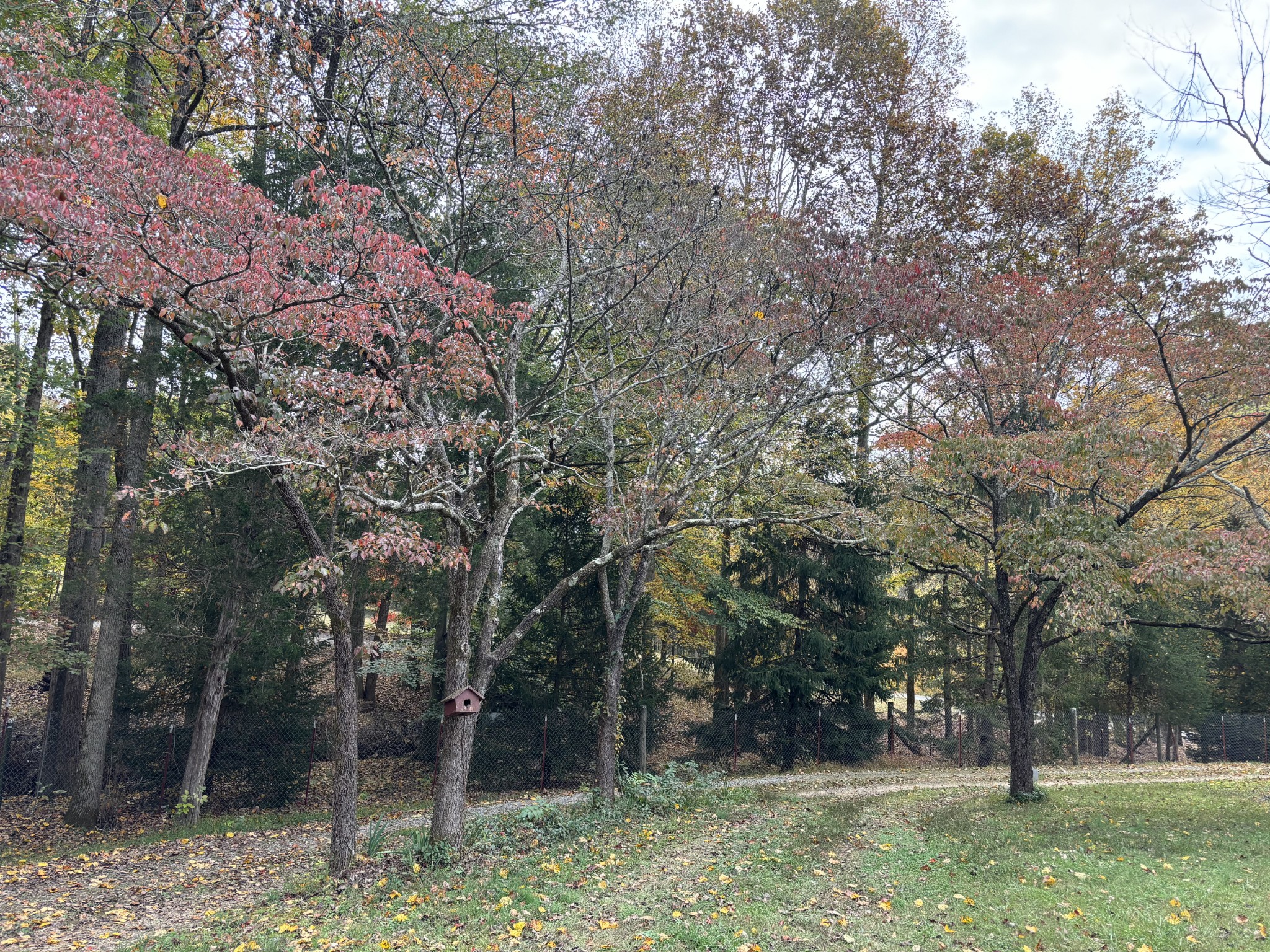 3437 Cooper Nicholson Road, N Pleasant View TN 37146