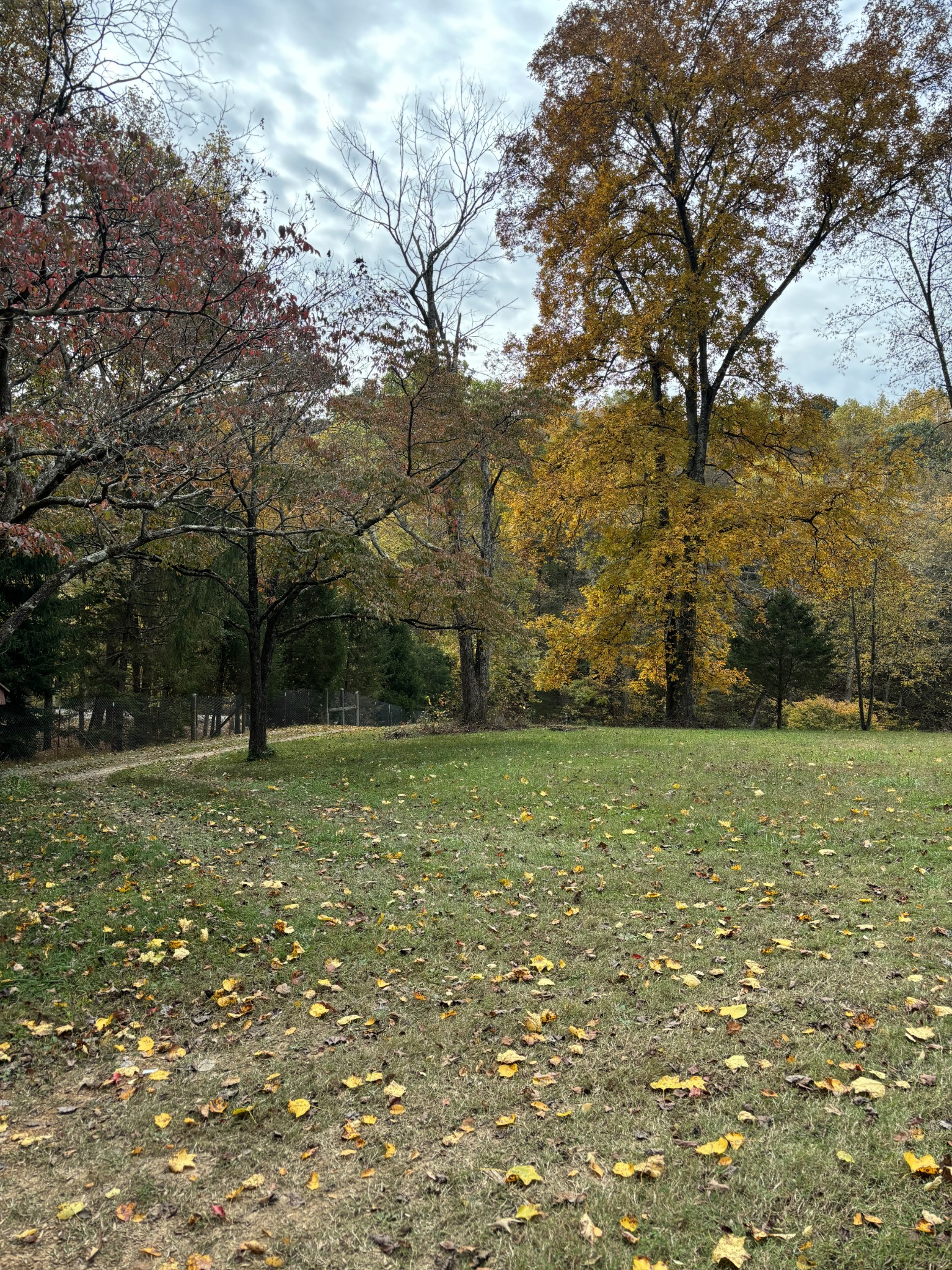 3437 Cooper Nicholson Road, N Pleasant View TN 37146