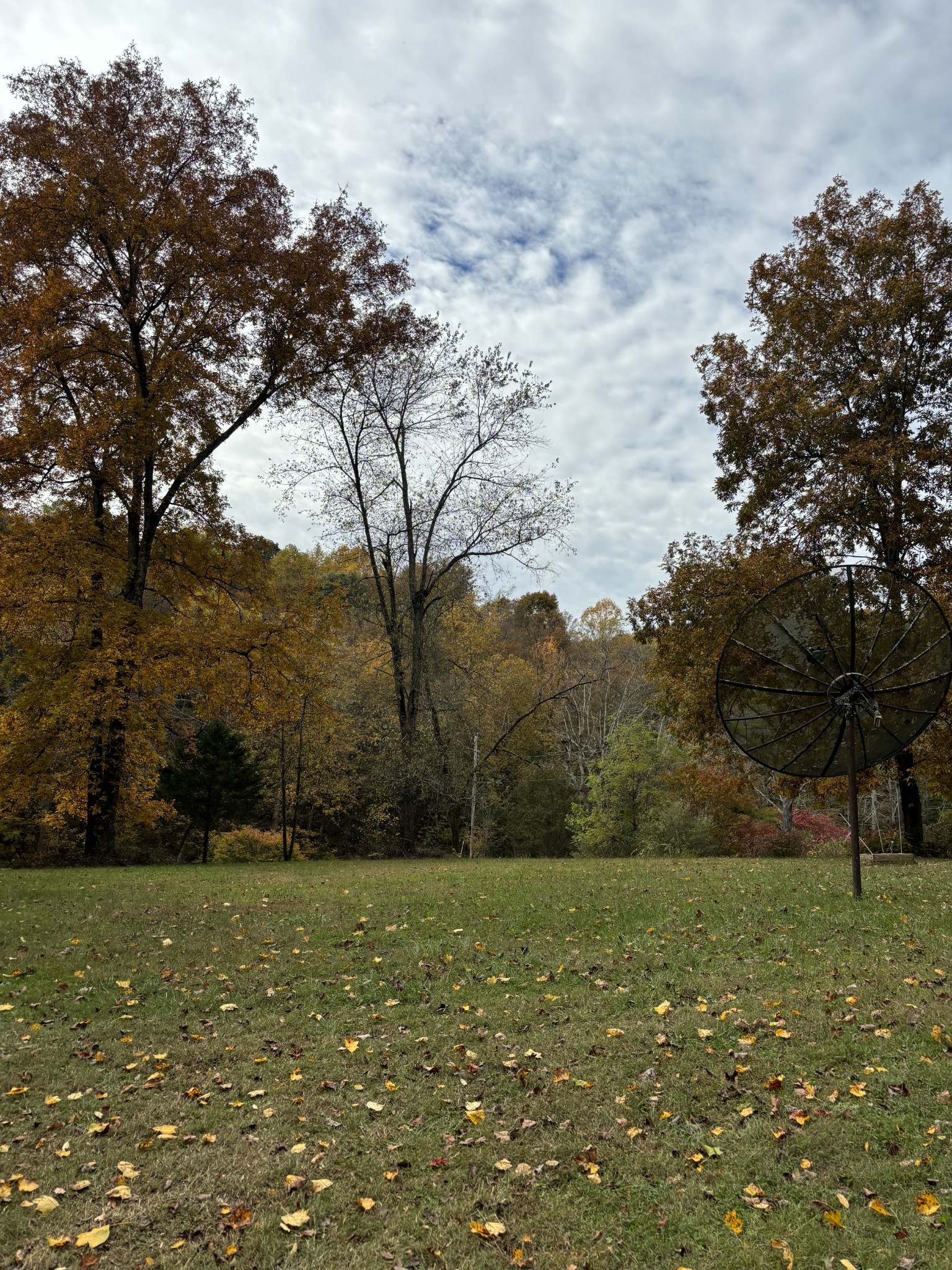 3437 Cooper Nicholson Road, N Pleasant View TN 37146