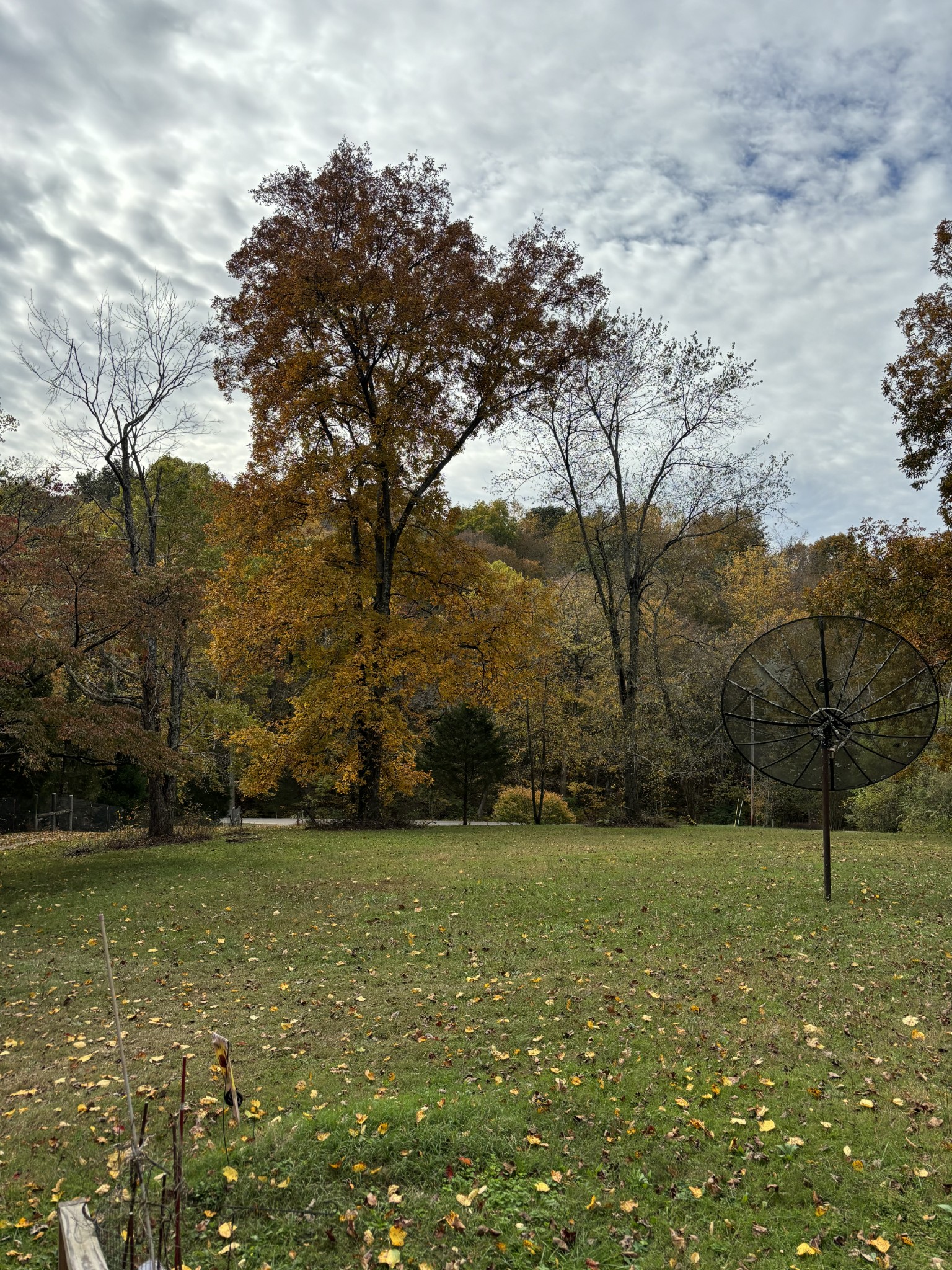 3437 Cooper Nicholson Road, N Pleasant View TN 37146