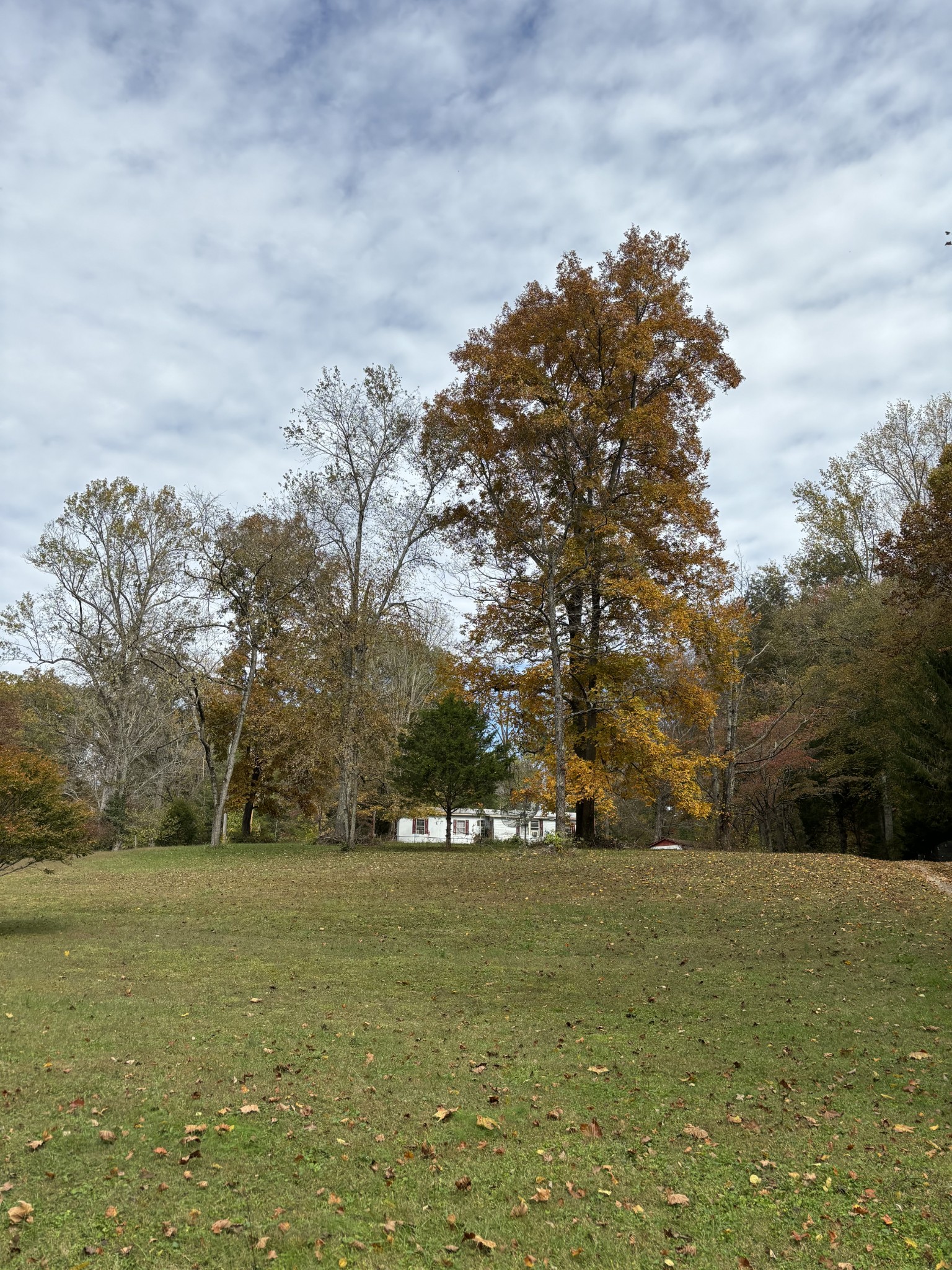 3437 Cooper Nicholson Road, N Pleasant View TN 37146