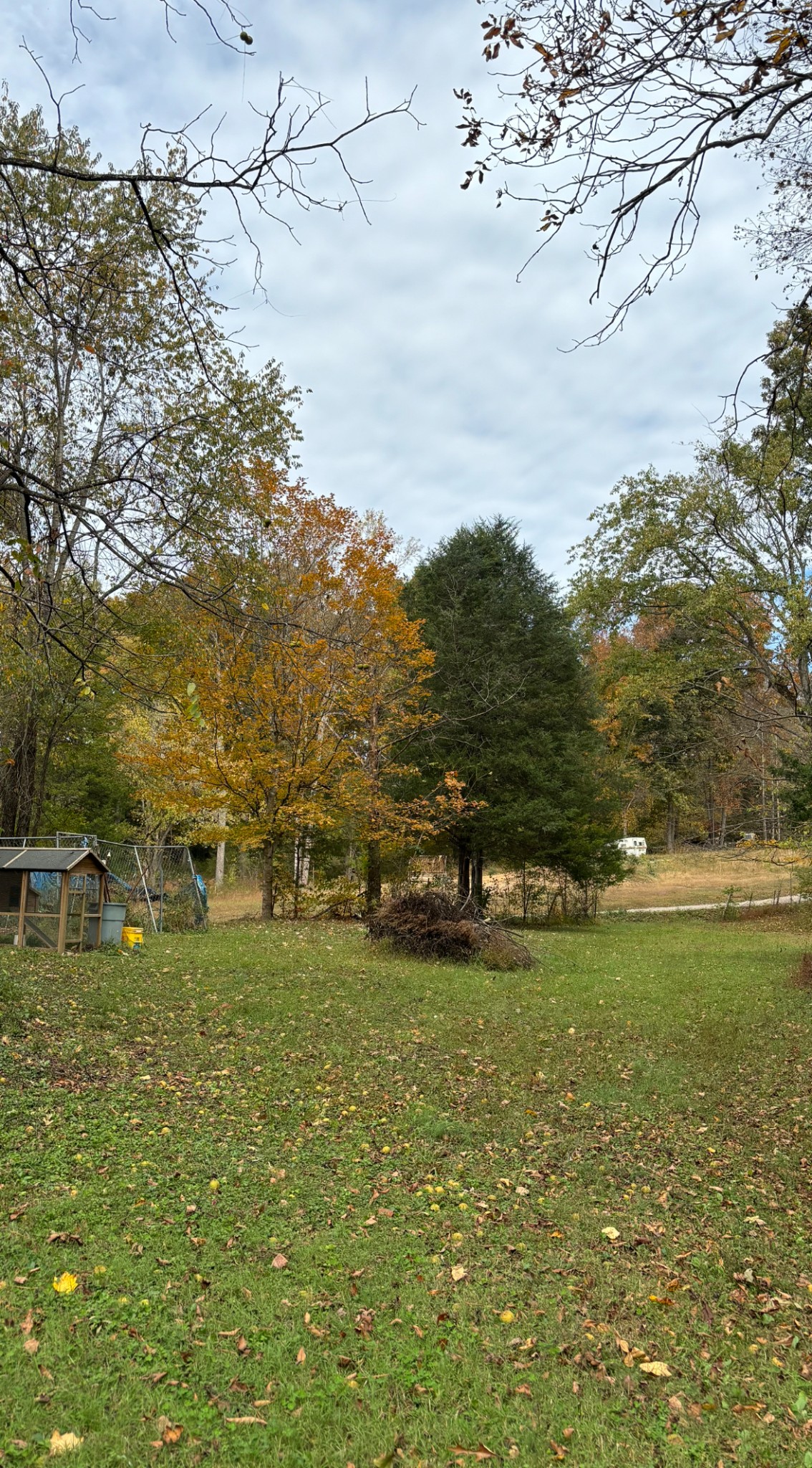 3437 Cooper Nicholson Road, N Pleasant View TN 37146