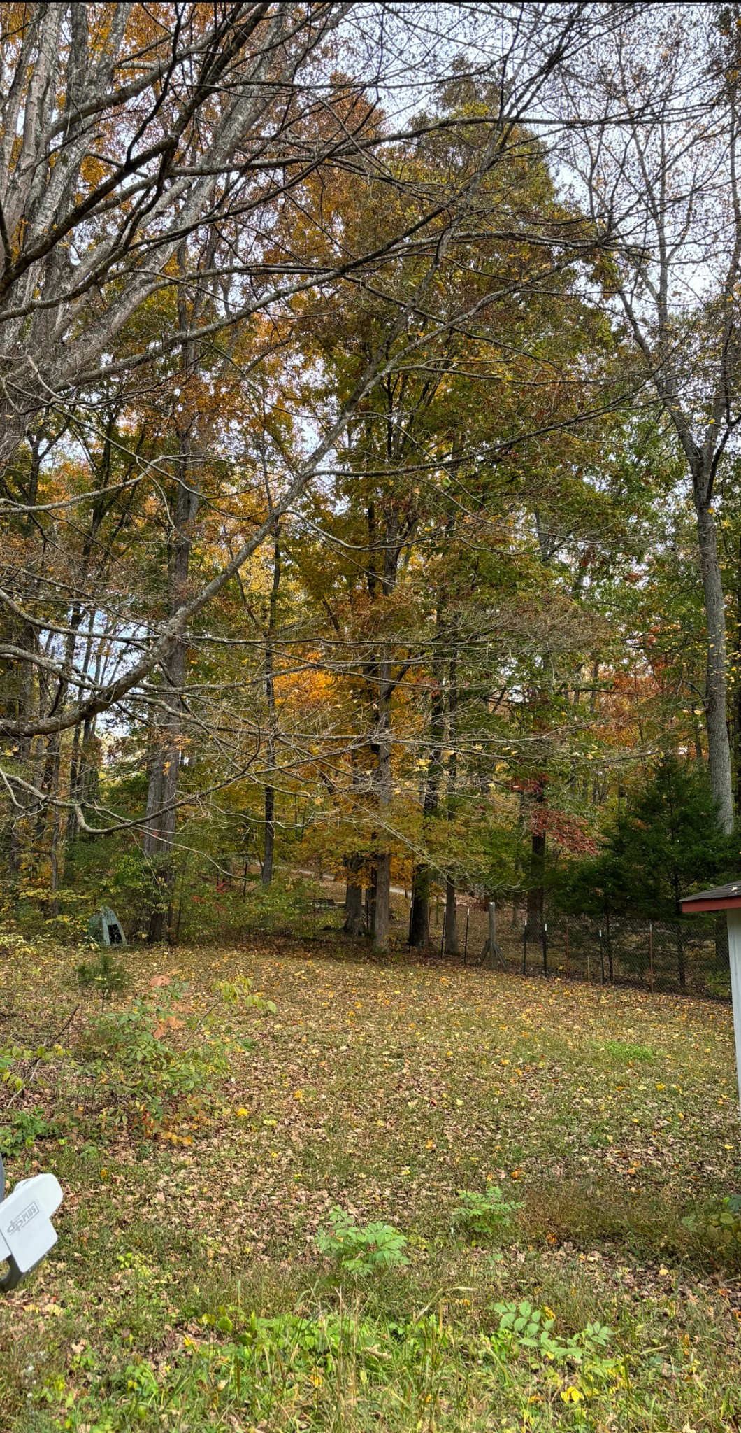 3437 Cooper Nicholson Road, N Pleasant View TN 37146