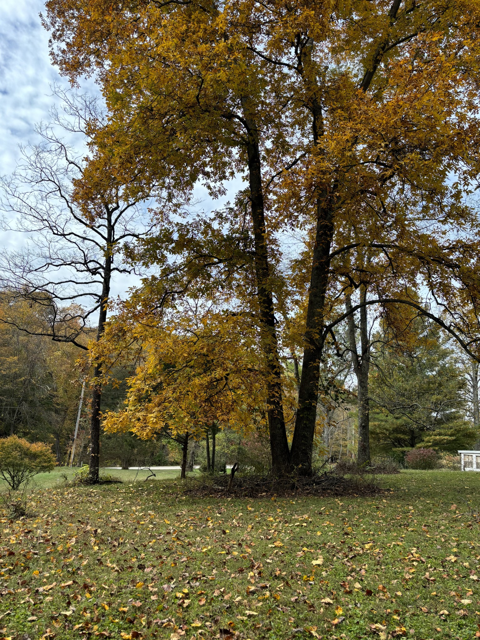 3437 Cooper Nicholson Road, N Pleasant View TN 37146