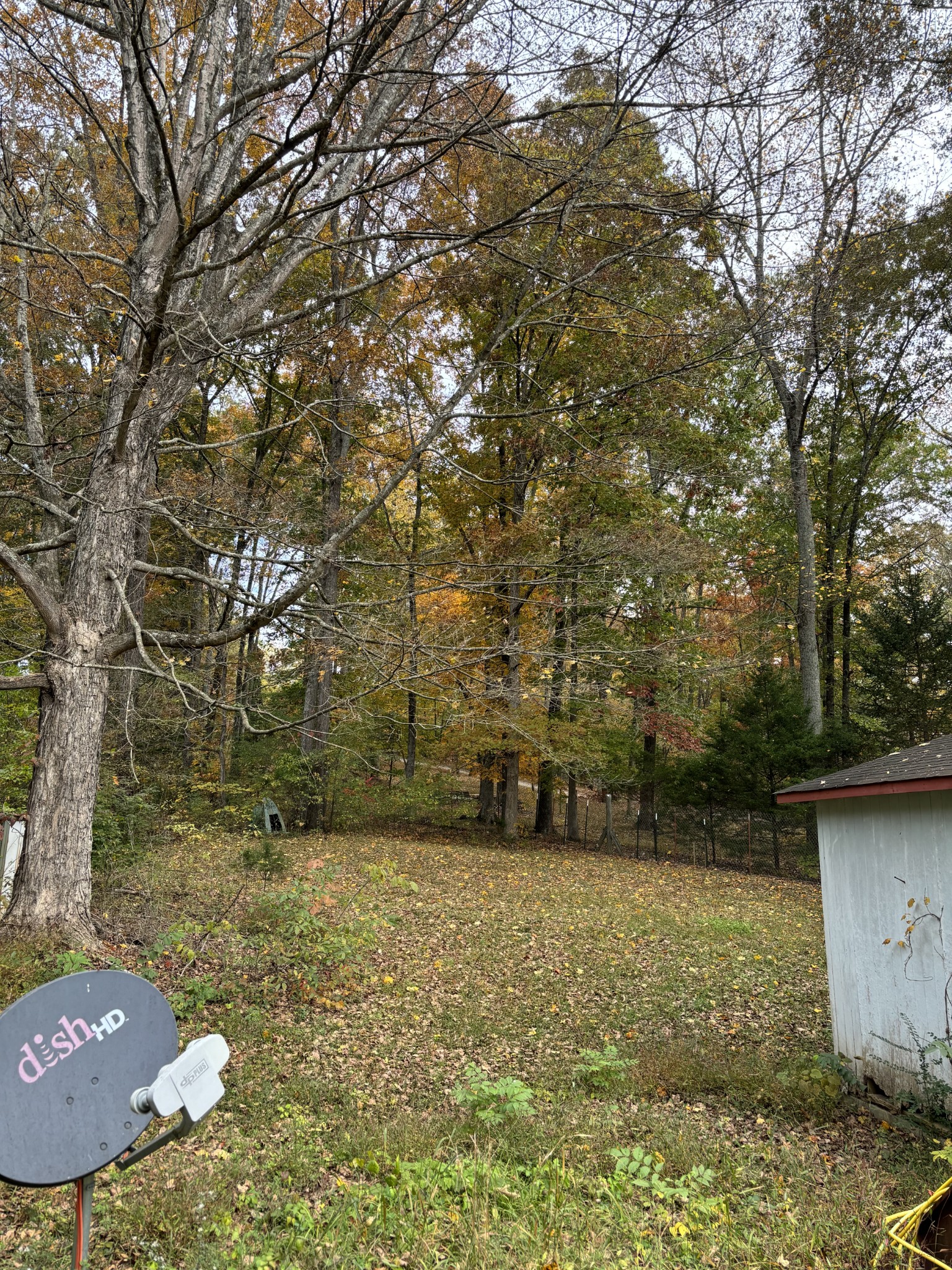 3437 Cooper Nicholson Road, N Pleasant View TN 37146