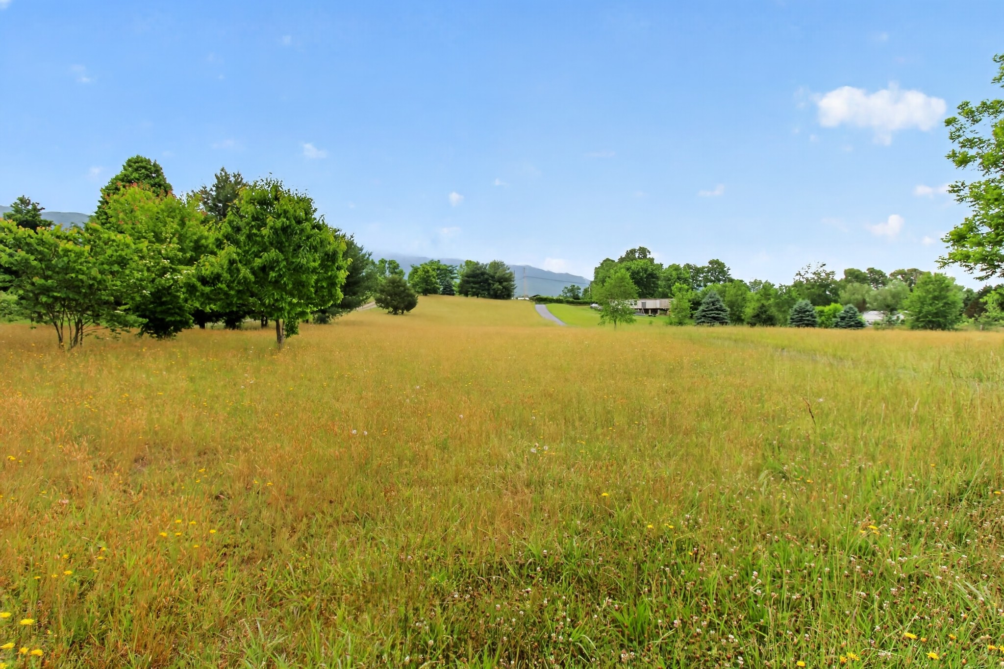 325 Rambo Road Greeneville TN 37743