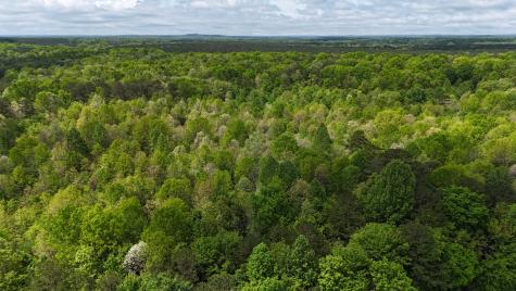 10 Windstone Drive Tracy City TN 37387