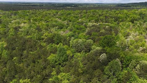 10 Windstone Drive Tracy City TN 37387