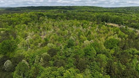 10 Windstone Drive Tracy City TN 37387