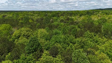 10 Windstone Drive Tracy City TN 37387