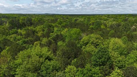 10 Windstone Drive Tracy City TN 37387