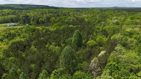 10 Windstone Drive Tracy City TN 37387