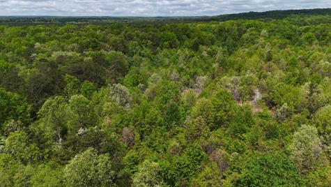 10 Windstone Drive Tracy City TN 37387