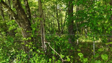 10 Windstone Drive Tracy City TN 37387