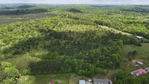 10 Windstone Drive Tracy City TN 37387