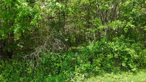 10 Windstone Drive Tracy City TN 37387