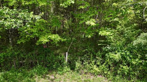 10 Windstone Drive Tracy City TN 37387