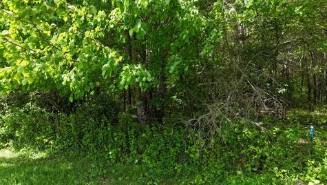 10 Windstone Drive Tracy City TN 37387