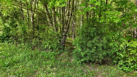 10 Windstone Drive Tracy City TN 37387