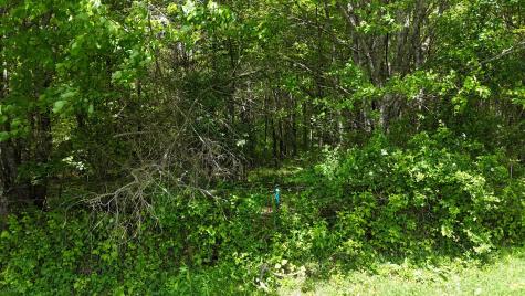 10 Windstone Drive Tracy City TN 37387