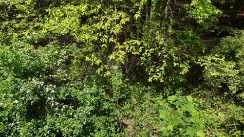 10 Windstone Drive Tracy City TN 37387