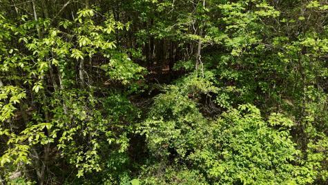 10 Windstone Drive Tracy City TN 37387