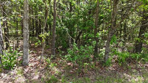 10 Windstone Drive Tracy City TN 37387