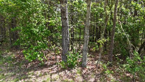 10 Windstone Drive Tracy City TN 37387