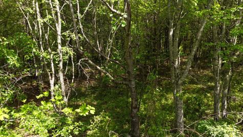 10 Windstone Drive Tracy City TN 37387