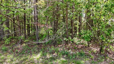 10 Windstone Drive Tracy City TN 37387