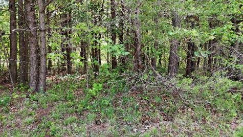 10 Windstone Drive Tracy City TN 37387