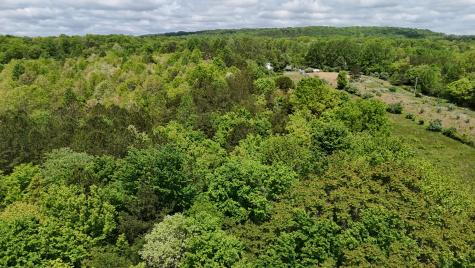 10 Windstone Drive Tracy City TN 37387