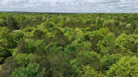 10 Windstone Drive Tracy City TN 37387