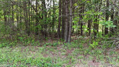 10 Windstone Drive Tracy City TN 37387