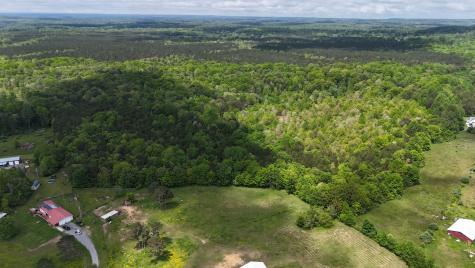 10 Windstone Drive Tracy City TN 37387