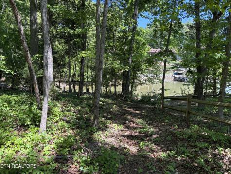 0 E Shore Drive Rockwood TN 37854