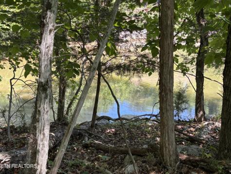 0 E Shore Drive Rockwood TN 37854