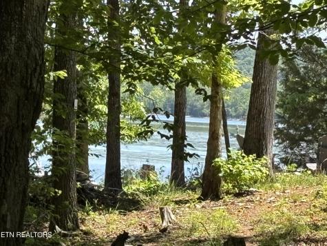 0 E Shore Drive Rockwood TN 37854