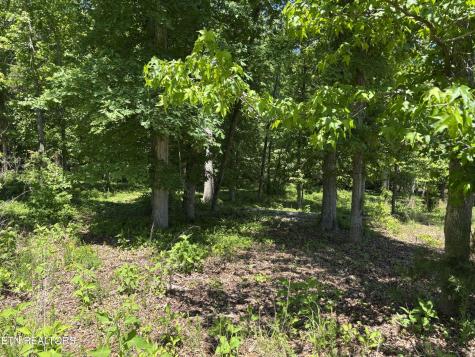 0 E Shore Drive Rockwood TN 37854