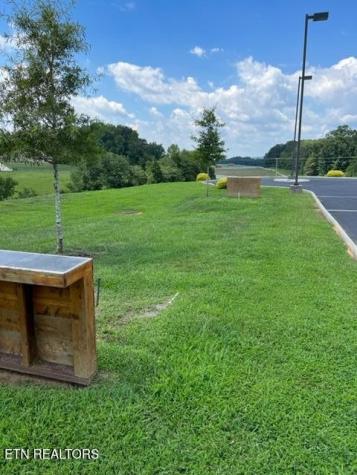 0 E Shore Drive Rockwood TN 37854