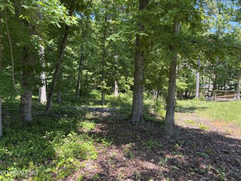 0 E Shore Drive Rockwood TN 37854