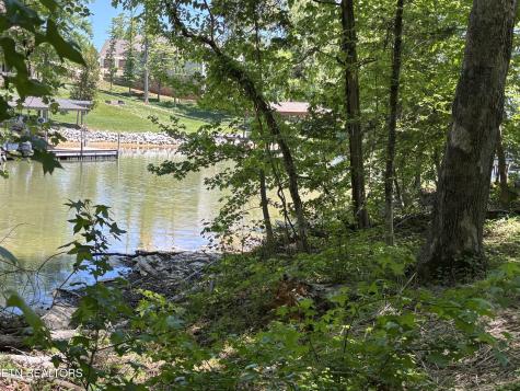 0 E Shore Drive Rockwood TN 37854