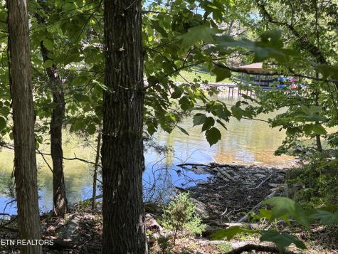 0 E Shore Drive Rockwood TN 37854