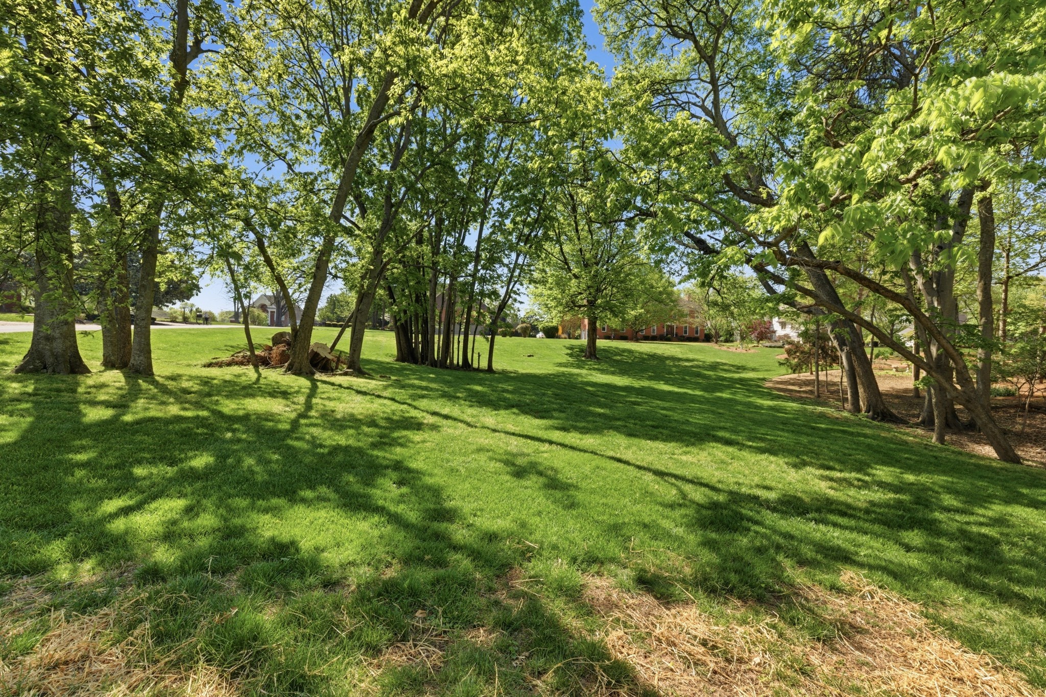 4117 Brandywine Pointe Boulevard Old Hickory TN 37138