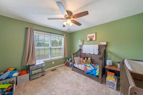 201 Blueberry Street White House TN 37188