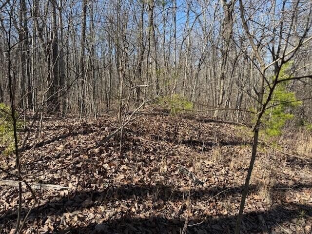 10 Shadowland Drive Graysville TN 37338