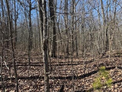 10 Shadowland Drive Graysville TN 37338