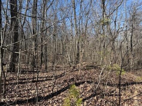 10 Shadowland Drive Graysville TN 37338