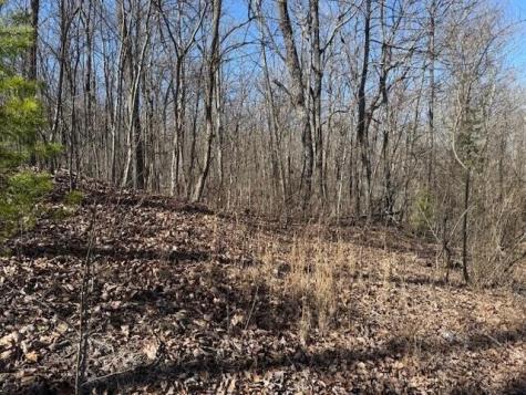 10 Shadowland Drive Graysville TN 37338