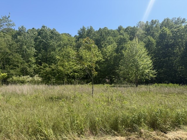 1 Bbq Road Dickson TN 37055